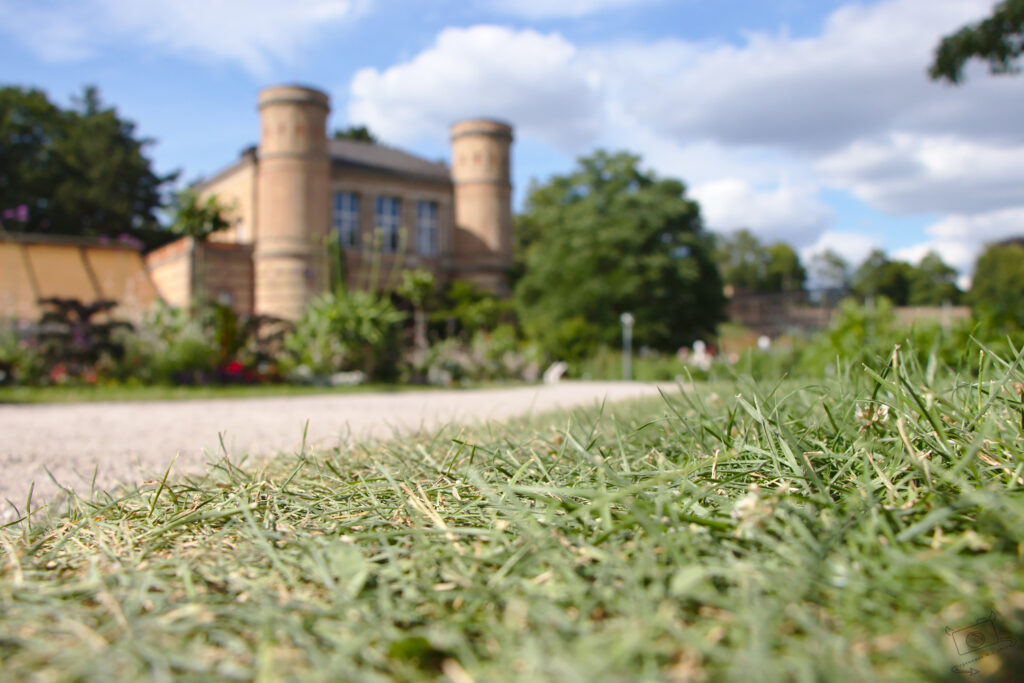 Eine Aufnahme aus dem Schlossgarten Karlsruhe